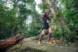 BIB: 
                            <button type="button" onclick="openModal(24809650)" class="btn btn-primary btn-sm float-right btn-popup" data-toggle="modal" data-target=".modal-high-quality">
                        <i class="fas fa-shopping-cart"></i> Add to Cart
                    </button>
                                            <button type="button" onclick="isThisMe(24809650, true)" class="btn btn-success btn-sm float-right btn-popup btn-isme hidden" data-toggle="tooltip" data-placement="bottom" title="นี่คือรูปของคุณใช่ไหม คลิกที่นี่เพื่อเอาเข้าอัลบั้ม">
                        <i class="fas fa-plus"></i> Add to album
                    </button>
                    <button type="button" onclick="isThisMe(24809650, false)" class="btn btn-warning btn-sm float-right btn-popup btn-isnotme hidden">
                        <i class="fas fa-ban"></i> Remove from album
                    </button>